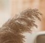 Pstripe
